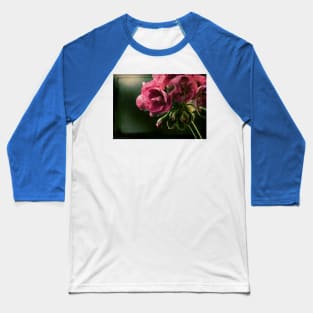 Geranium in Evening Light Baseball T-Shirt